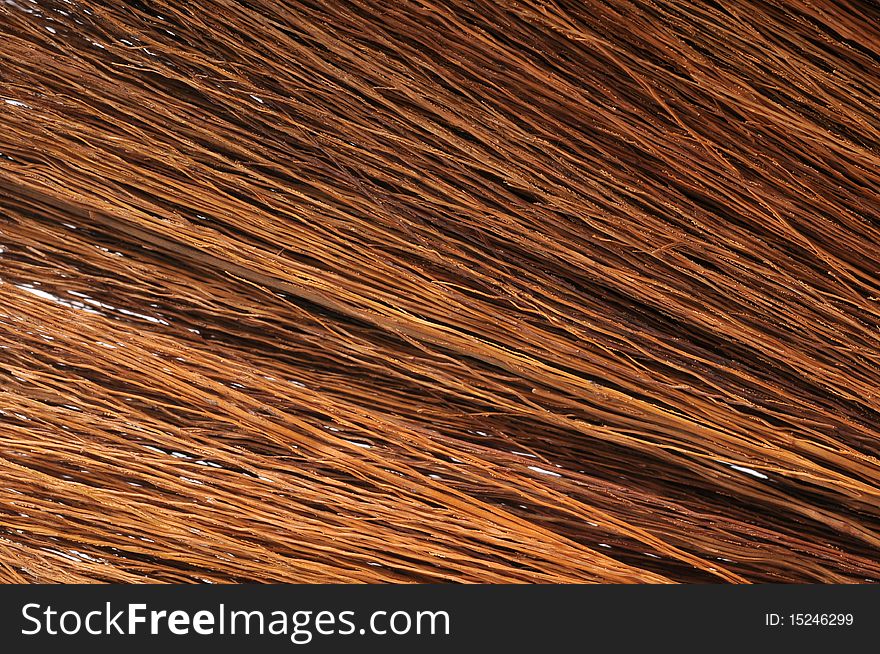 Closed-up brown broom strand. Closed-up brown broom strand