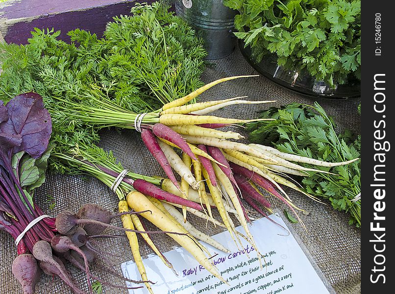 Baby Rainbow Carrots