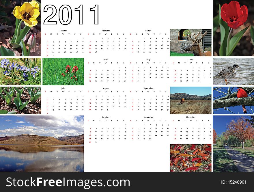 A 2011 Calendar with a collage of nature pictures. A 2011 Calendar with a collage of nature pictures