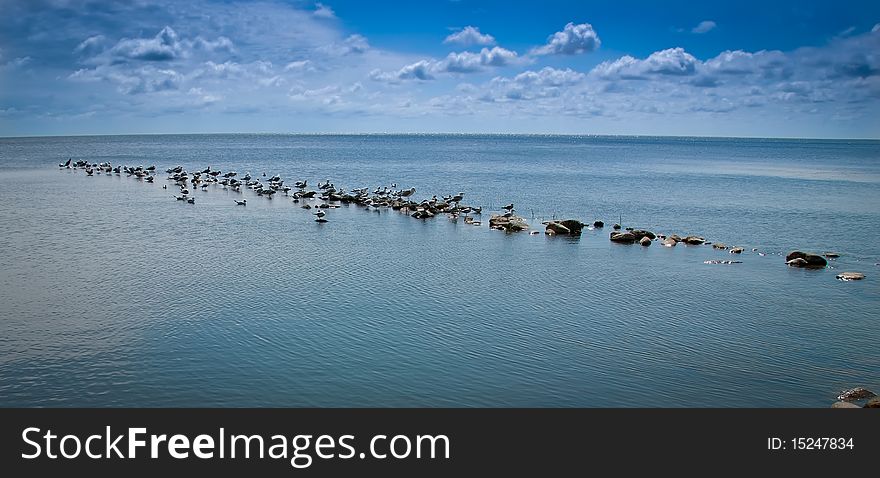 A flock of seagulls line up in a perfect beach setting.