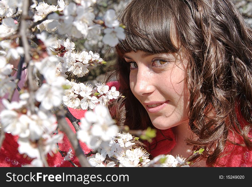 A young beautiful girl is in a flowering apricot garden. A young beautiful girl is in a flowering apricot garden