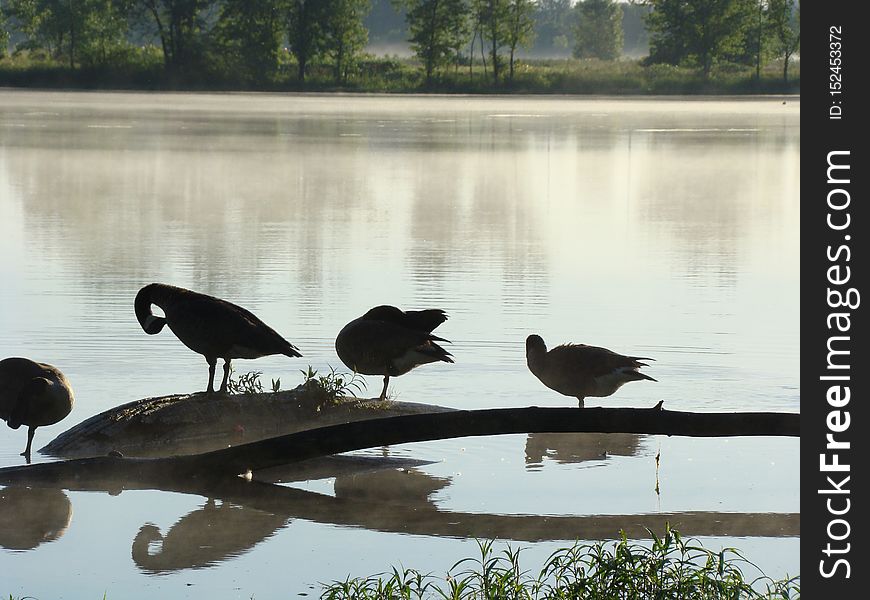 Three Creeks Metro Park