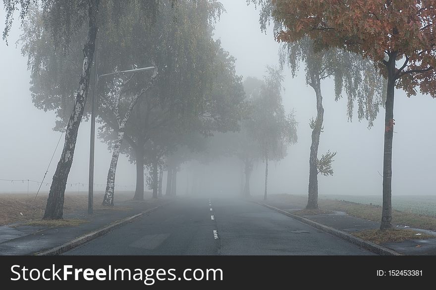 Fog, Mist, Atmospheric Phenomenon, Haze
