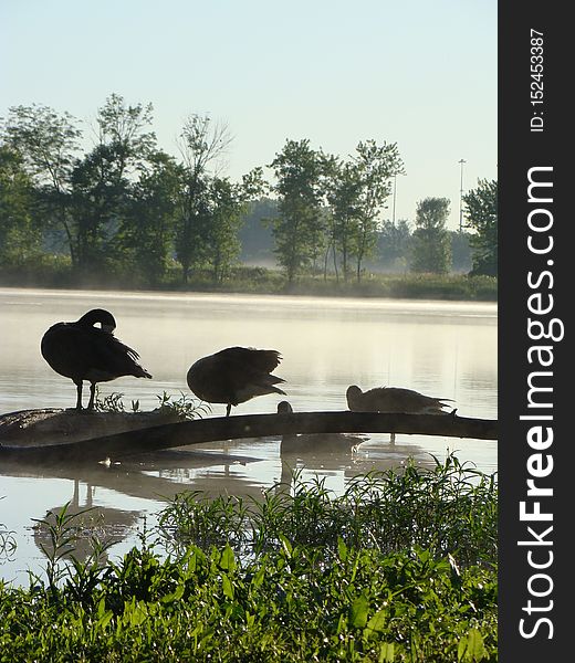 Three Creeks Metro Park