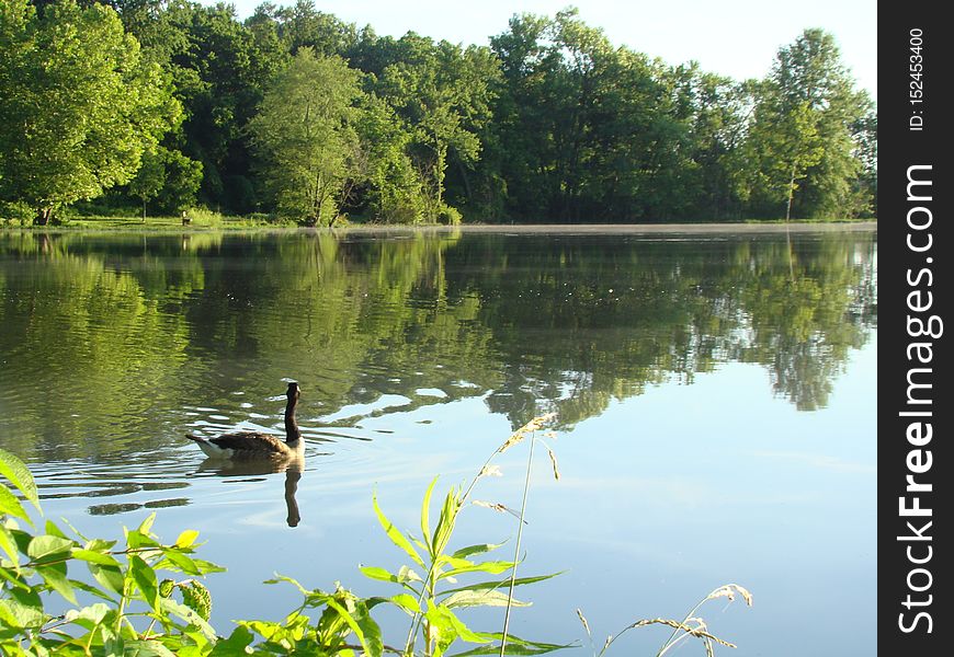 Three Creeks Metro Park