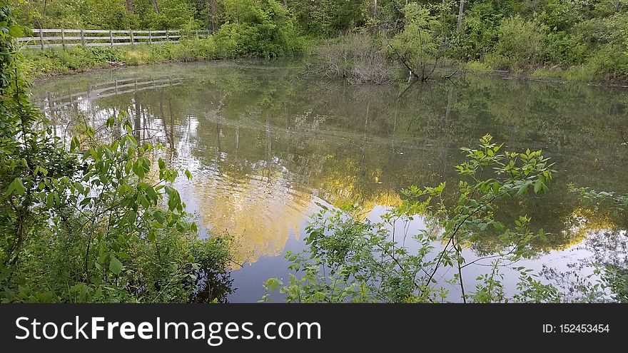 Oldtown Creek Preserve