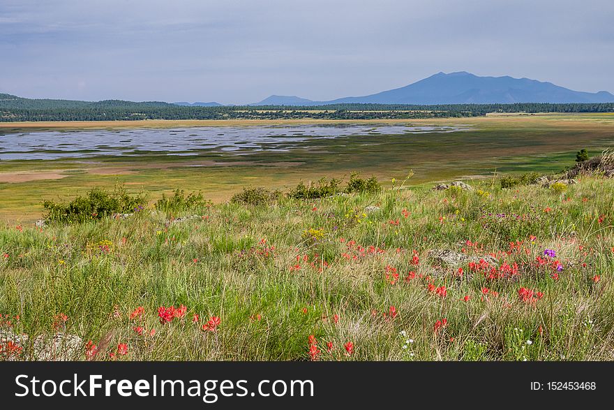 Mormon Lake