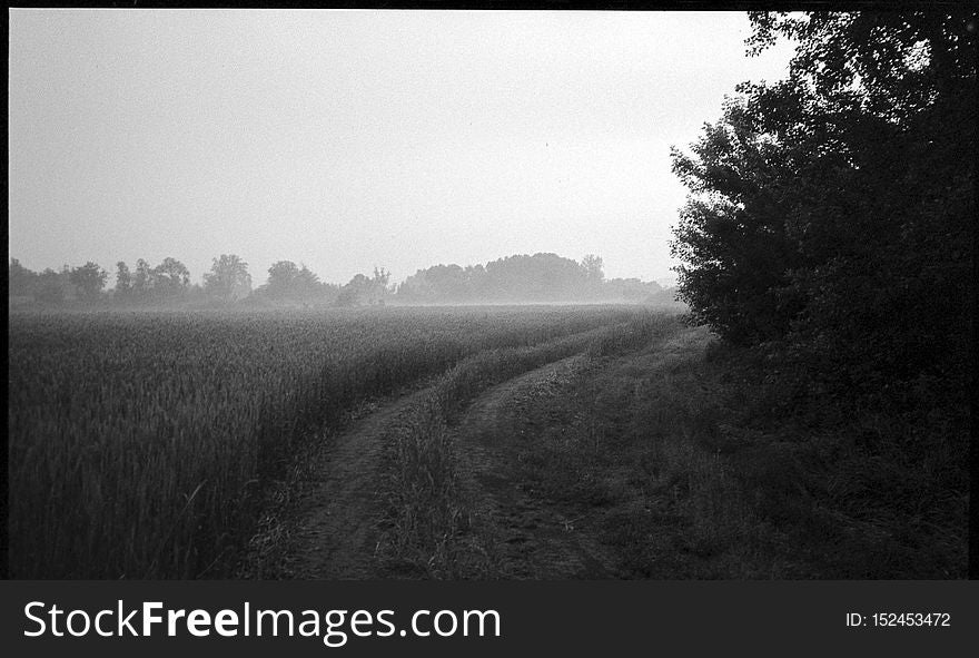 Misty sunrise near Michale. Pomerania, Poland. June, 2018. One of things I was looking for gear-wise, was a reliably working, compact film camera with a good enough lens. Point and shoot, autofocus, auto-everything, trouble-free tool for these moments where I&#x27;m basically braindead or in a hurry. Well, this old Pentax is one I&#x27;ve tried lastly. Seeing samples side by side, typical 50mm f/1.8 lens in similar circumstances wasn&#x27;t performing much better, so this one is a keeper. Misty sunrise near Michale. Pomerania, Poland. June, 2018. One of things I was looking for gear-wise, was a reliably working, compact film camera with a good enough lens. Point and shoot, autofocus, auto-everything, trouble-free tool for these moments where I&#x27;m basically braindead or in a hurry. Well, this old Pentax is one I&#x27;ve tried lastly. Seeing samples side by side, typical 50mm f/1.8 lens in similar circumstances wasn&#x27;t performing much better, so this one is a keeper.