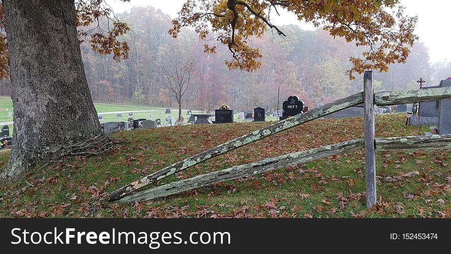 Oak Grove Cemetery