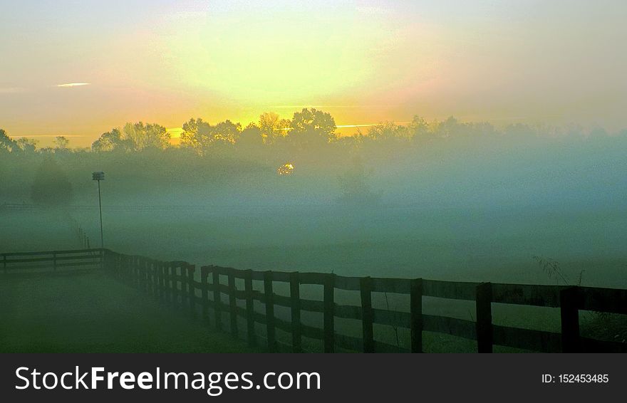 Morning Pasture