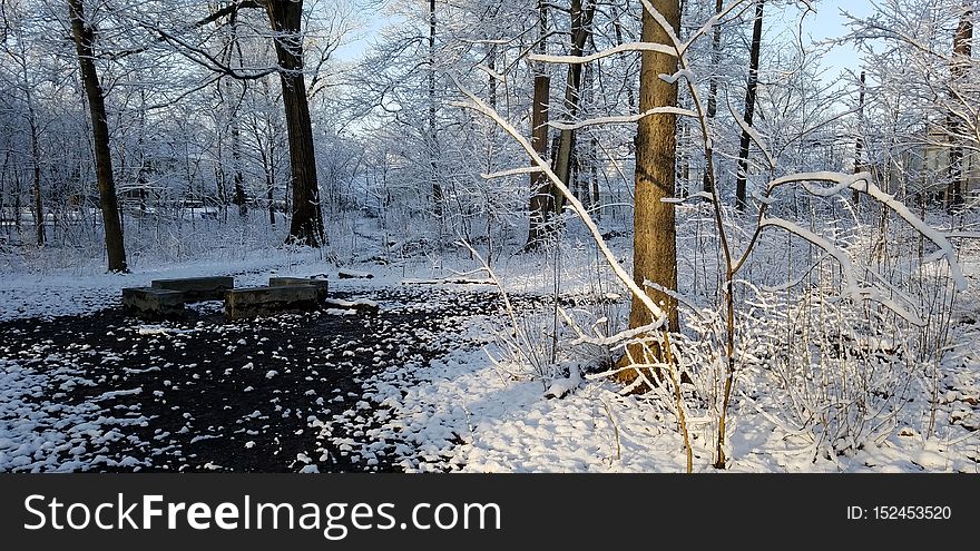 Cardiff Woods Park