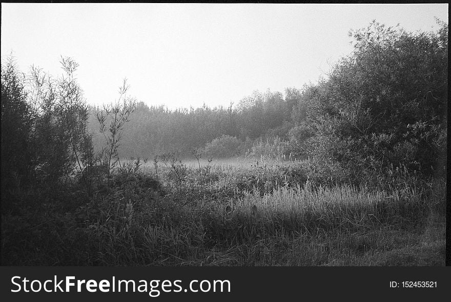 Misty sunrise near Michale. Pomerania, Poland. June, 2018. One of things I was looking for gear-wise, was a reliably working, compact film camera with a good enough lens. Point and shoot, autofocus, auto-everything, trouble-free tool for these moments where I&#x27;m basically braindead or in a hurry. Well, this old Pentax is one I&#x27;ve tried lastly. Seeing samples side by side, typical 50mm f/1.8 lens in similar circumstances wasn&#x27;t performing much better, so this one is a keeper. Misty sunrise near Michale. Pomerania, Poland. June, 2018. One of things I was looking for gear-wise, was a reliably working, compact film camera with a good enough lens. Point and shoot, autofocus, auto-everything, trouble-free tool for these moments where I&#x27;m basically braindead or in a hurry. Well, this old Pentax is one I&#x27;ve tried lastly. Seeing samples side by side, typical 50mm f/1.8 lens in similar circumstances wasn&#x27;t performing much better, so this one is a keeper.