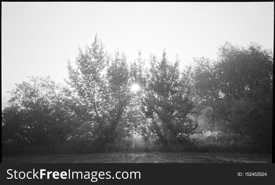 Misty sunrise near Michale. Pomerania, Poland. June, 2018. One of things I was looking for gear-wise, was a reliably working, compact film camera with a good enough lens. Point and shoot, autofocus, auto-everything, trouble-free tool for these moments where I&#x27;m basically braindead or in a hurry. Well, this old Pentax is one I&#x27;ve tried lastly. Seeing samples side by side, typical 50mm f/1.8 lens in similar circumstances wasn&#x27;t performing much better, so this one is a keeper. Misty sunrise near Michale. Pomerania, Poland. June, 2018. One of things I was looking for gear-wise, was a reliably working, compact film camera with a good enough lens. Point and shoot, autofocus, auto-everything, trouble-free tool for these moments where I&#x27;m basically braindead or in a hurry. Well, this old Pentax is one I&#x27;ve tried lastly. Seeing samples side by side, typical 50mm f/1.8 lens in similar circumstances wasn&#x27;t performing much better, so this one is a keeper.