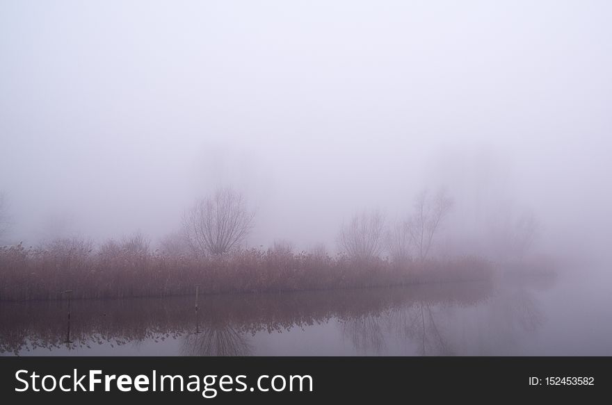 Illuminated Fog In The Morning Sun