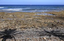 Coast Of Tenerife, Palya De Las Americas Royalty Free Stock Photography Coast Of Tenerife, Palya De Las Americas Royalty Free Stock Photography