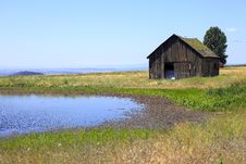 Old Shack & A Pond. Royalty Free Stock Photos