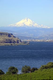 Mt. Hood Oregon. Stock Image