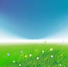 Green Field With Butterflies, Summer Background Stock Images