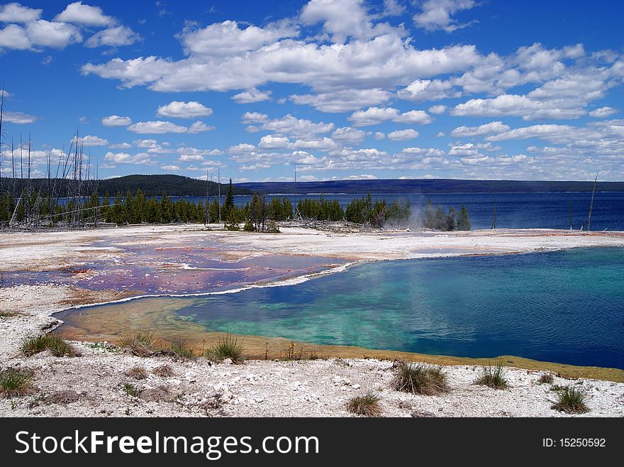 The shore of Lake Yellowstone. Yellowstone National Park. The shore of Lake Yellowstone. Yellowstone National Park.