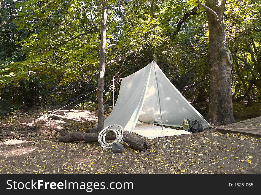 A tent at the heart of the forest. A tent at the heart of the forest