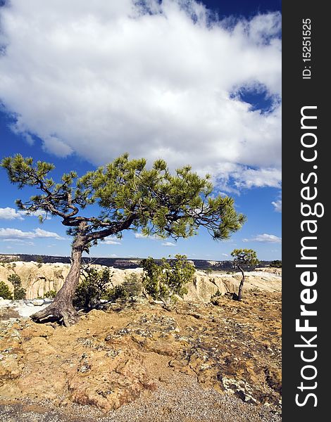 El Morro National Monument, New Mexico