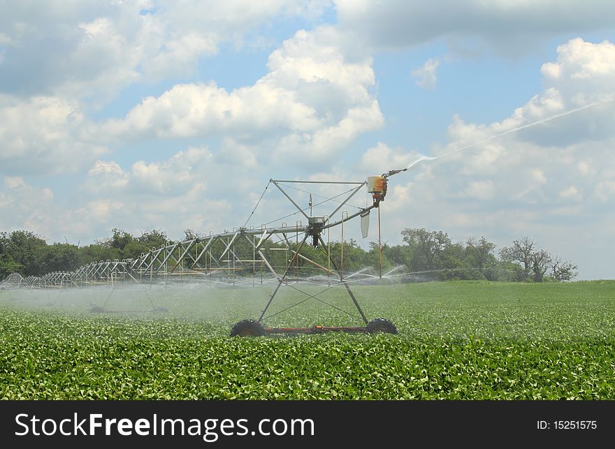 Irrigating A Soybean Field