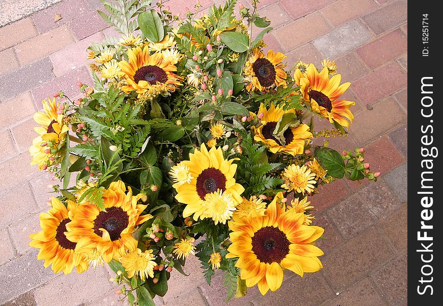 Bouquet of Sunflower in Or Yehuda, Israel. Bouquet of Sunflower in Or Yehuda, Israel