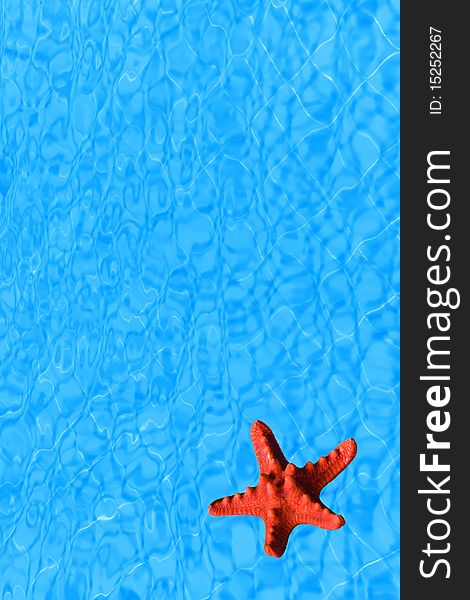 Water background with red starfish conceptual image of vacation and summertime