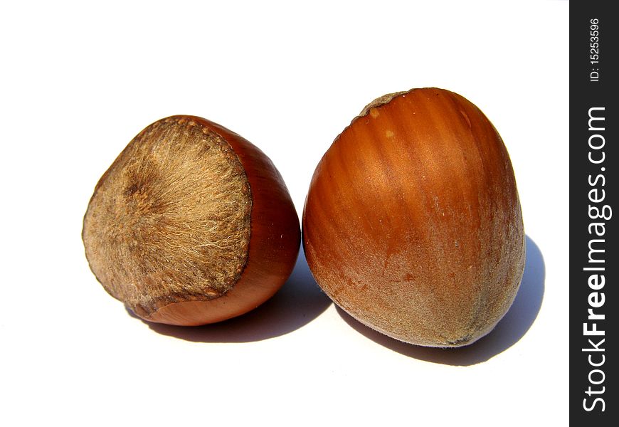 Detail photo of two hazelnuts background