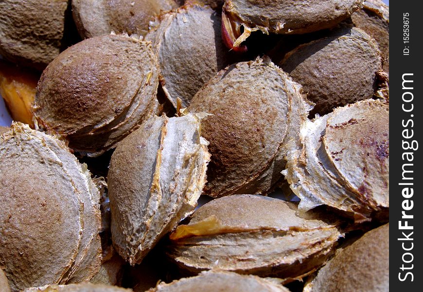 Detail photo of the apricot stones background