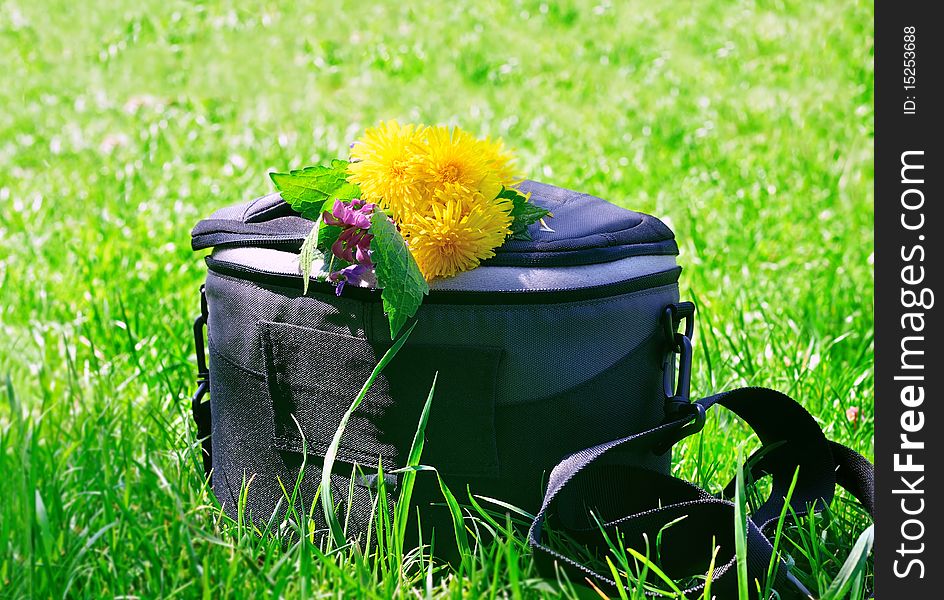 Photo bag on the green grass with flowers. Photo bag on the green grass with flowers