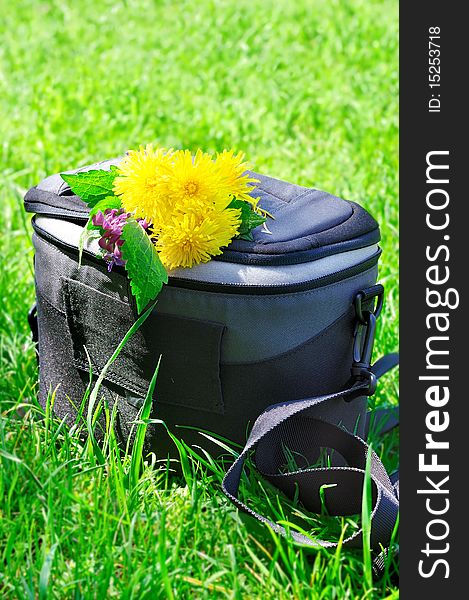 Photo bag on the green grass with flowers