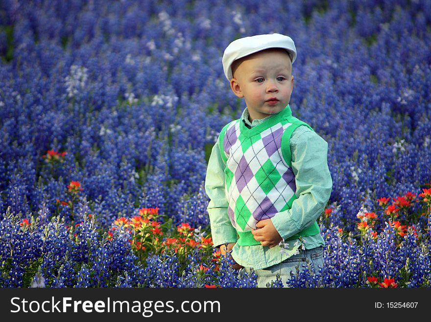 Curious Boy Playing in Bluebonnets. Curious Boy Playing in Bluebonnets