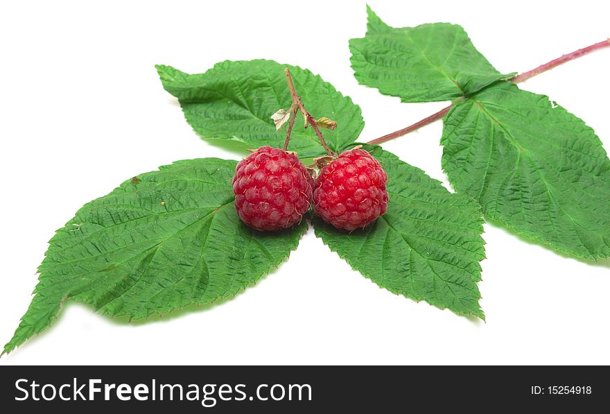 Berries of a raspberry are isolated on a white background. Berries of a raspberry are isolated on a white background