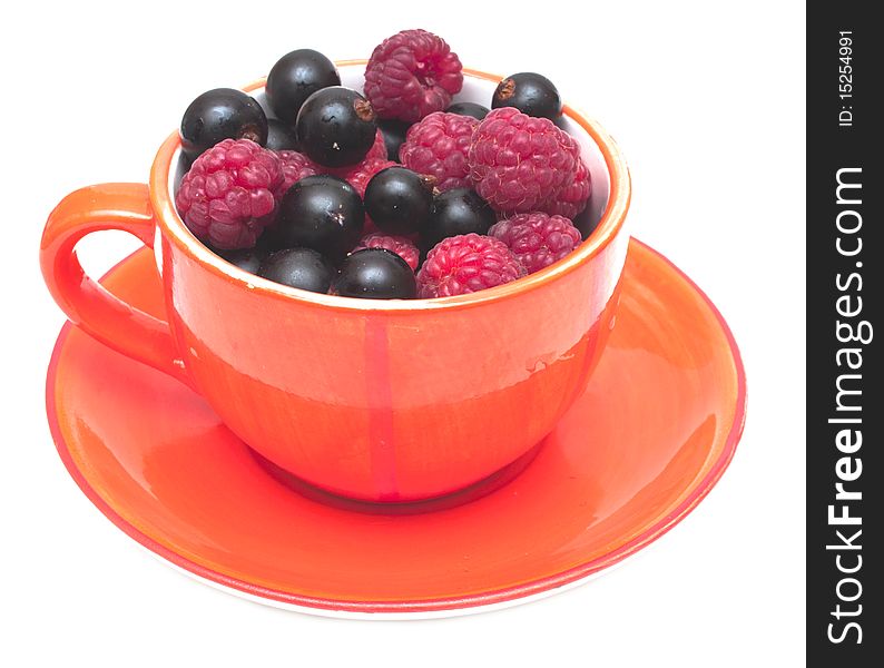 Tea Cup With Berries