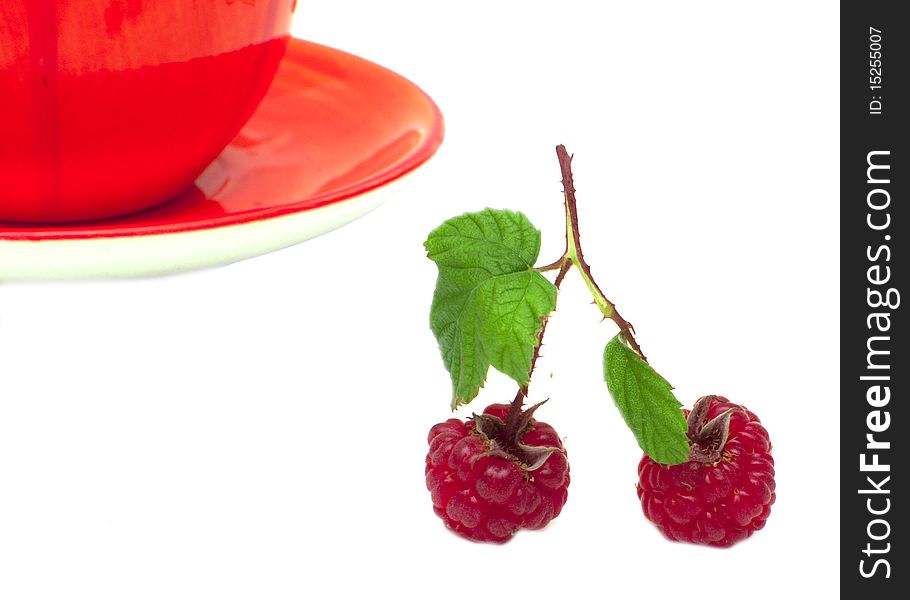 Branch of berry of raspberry on white background