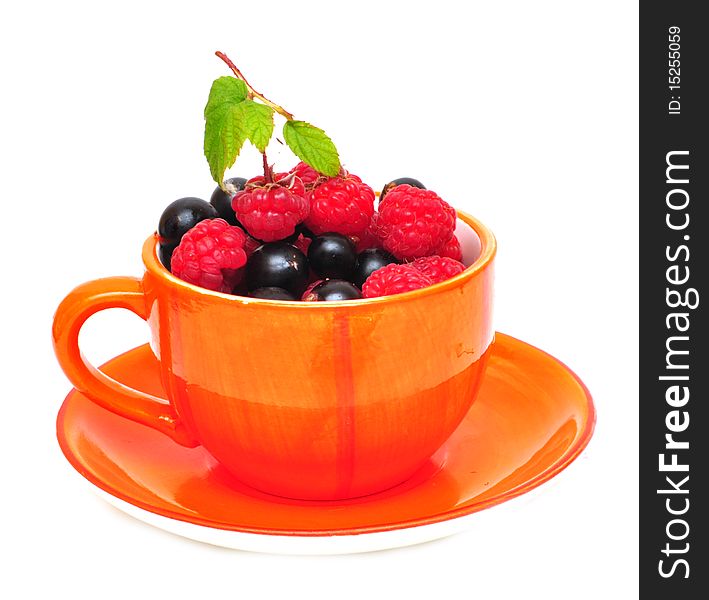 Tea cup with berries isolates on the white