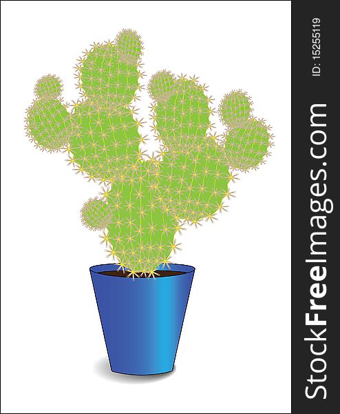 A cactus in a blue flowerpot on a white background