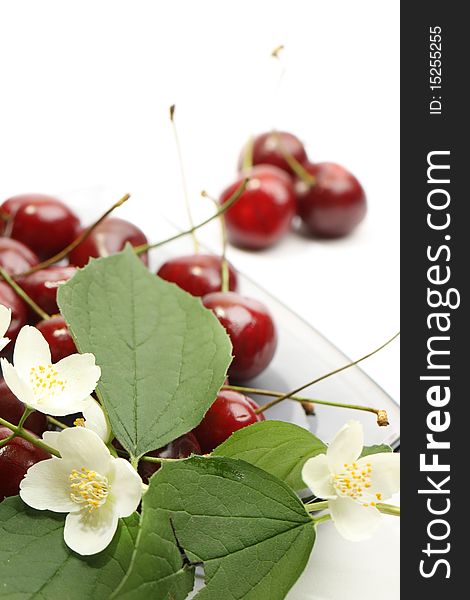 Heap of sweet cherry with white flowers. Heap of sweet cherry with white flowers