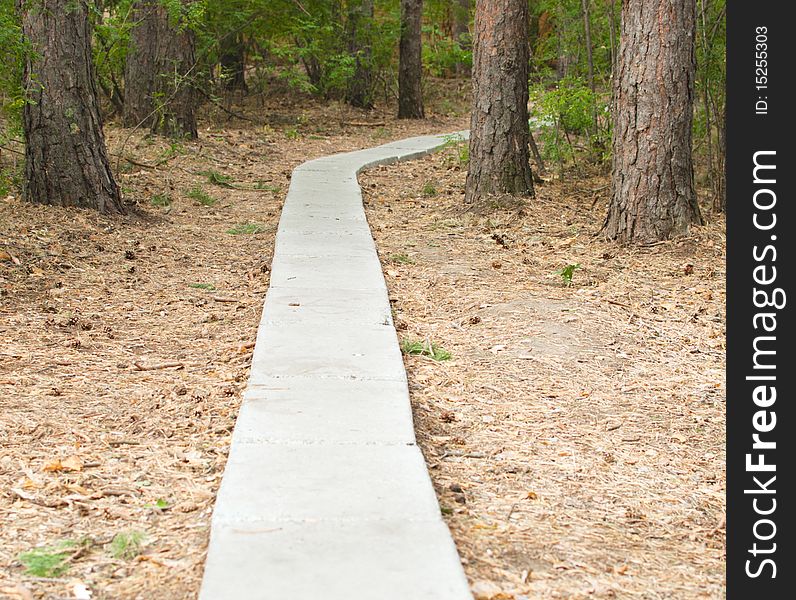 Footpath from stone plates passes between trees. Footpath from stone plates passes between trees