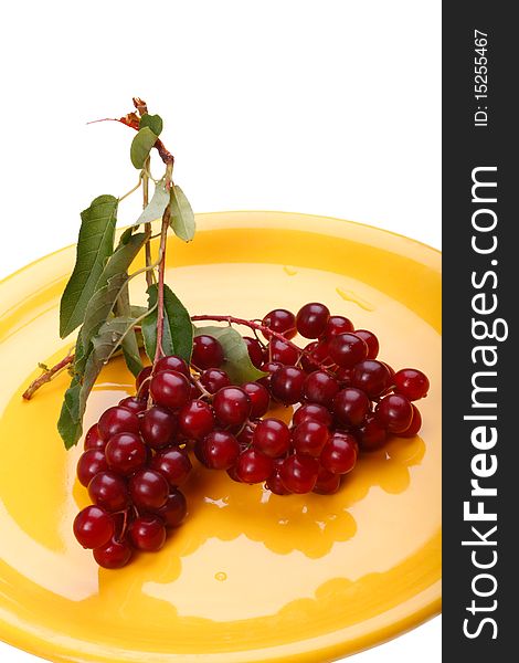 Bird cherry berry ripe on the yellow plate