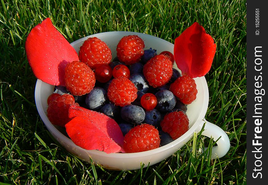 A cup of fresh harvested blueberries and raspebrries in the grass. A cup of fresh harvested blueberries and raspebrries in the grass