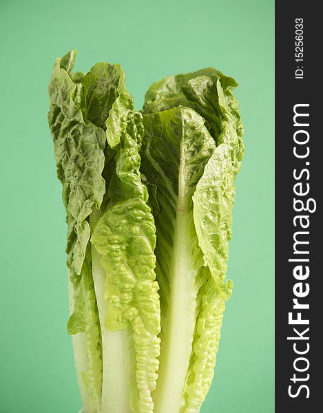 Romaine Lettuce on a wooden kitchen table, lit with a large light source from the right.