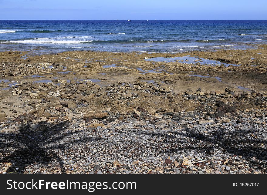 Spain, Canary Islands, Tenerife, Playa de las Américas. Spain, Canary Islands, Tenerife, Playa de las Américas