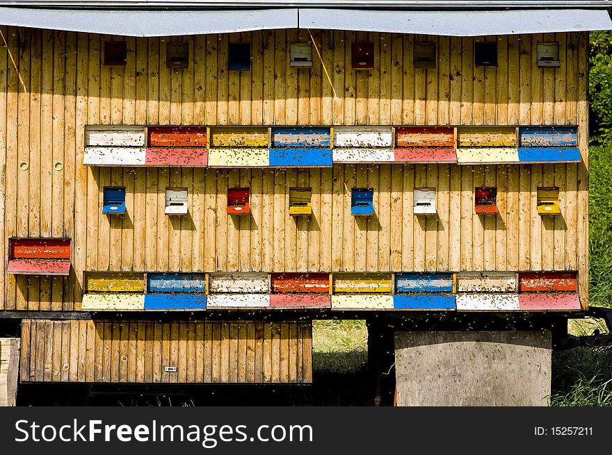 Close up of beehive, Slovakia