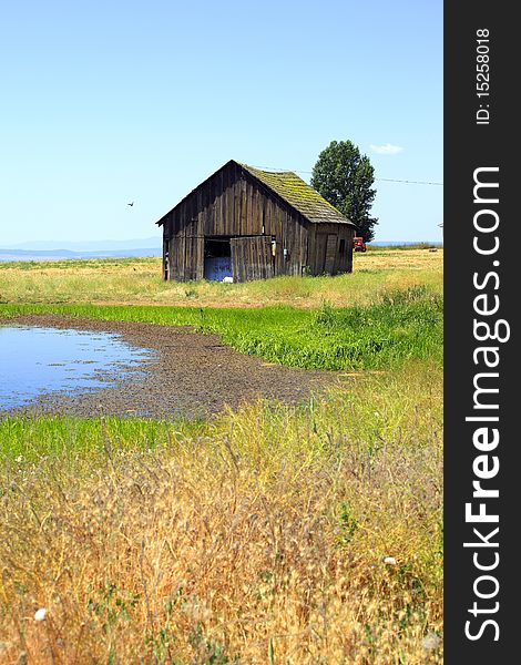 Old shack & a pond.