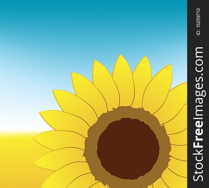 Sunflower on summer field, vector illustration