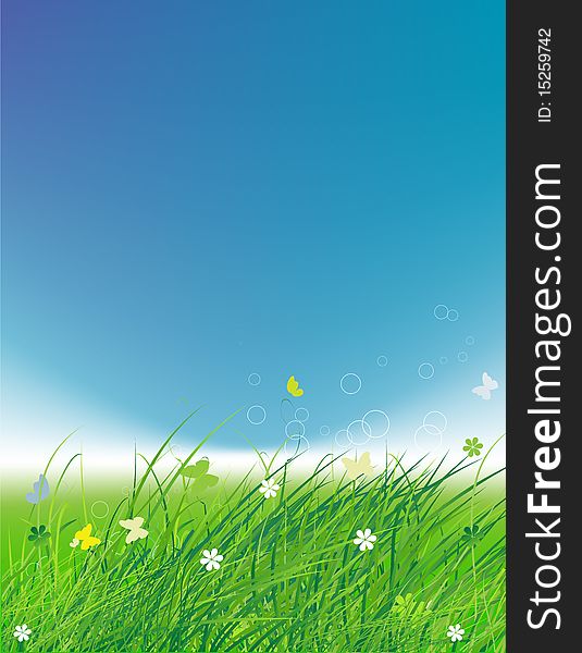 Green field with butterflies, summer background, vector illustration