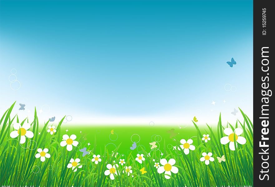 Green field with butterflies, summer background, vector illustration