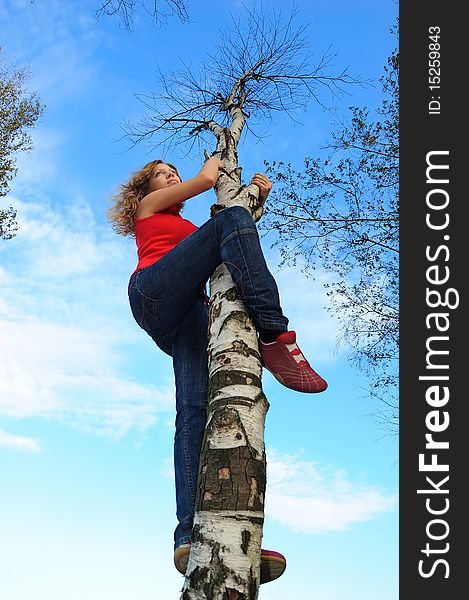 The girl on tree top looks afar. The girl on tree top looks afar